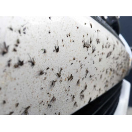 Eliminador de insectos carrocería profesional 25 Kg - Kilav Moscerini --Limpieza Llantas y Mosquitos        -Comercial Handcar